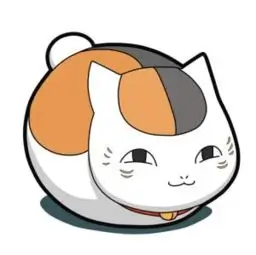 听众 夜航西飞 头像
